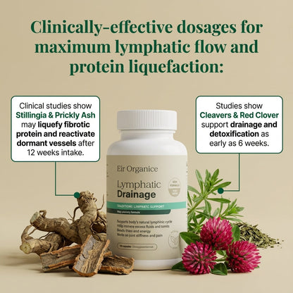 Eir™ Wild-Harvested Lymphatic System